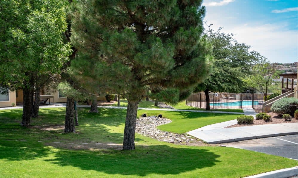 Images & Video Cuestas Apartment Homes